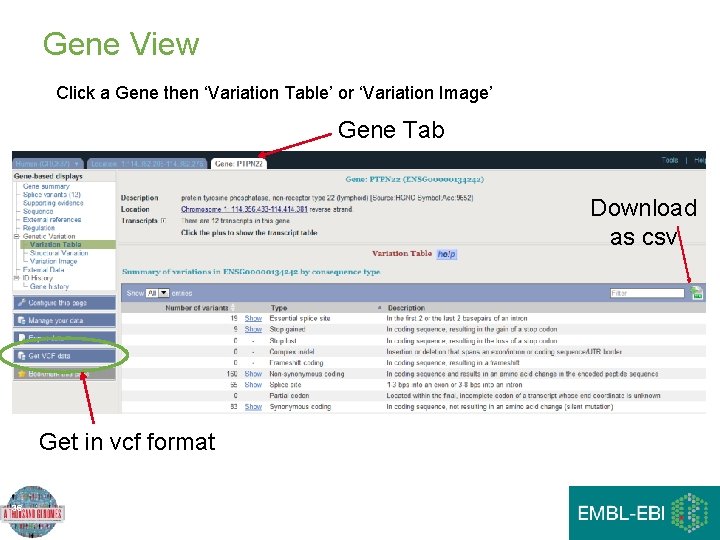 Gene View Click a Gene then ‘Variation Table’ or ‘Variation Image’ Gene Tab Download Gene View Click a Gene then ‘Variation Table’ or ‘Variation Image’ Gene Tab Download