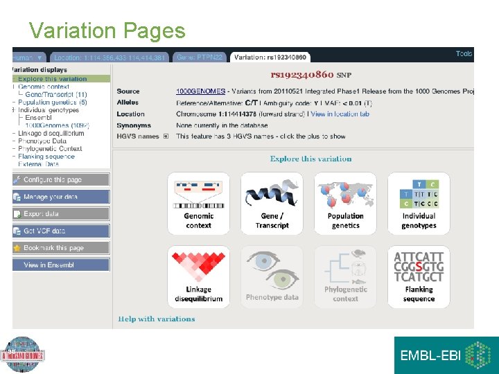 Variation Pages 39 Variation Pages 39