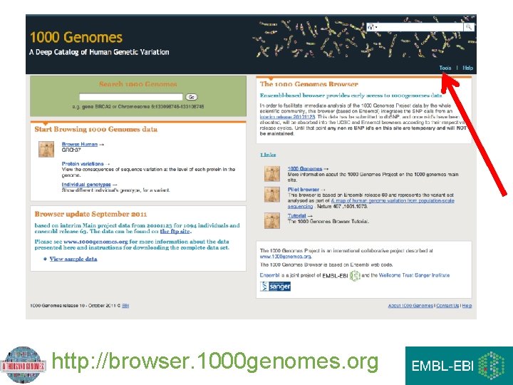 http: //browser. 1000 genomes. org http: //browser. 1000 genomes. org