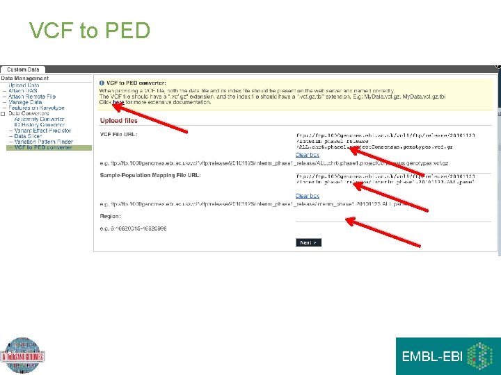 VCF to PED 51 VCF to PED 51