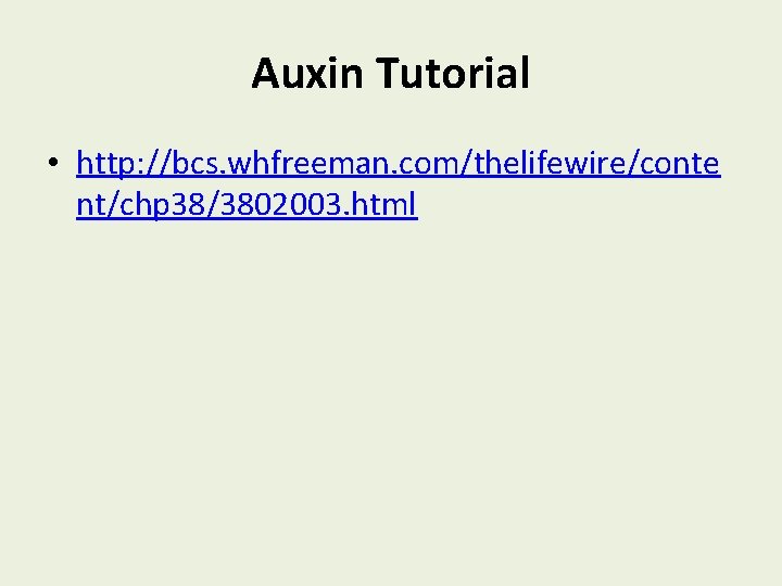 Auxin Tutorial • http: //bcs. whfreeman. com/thelifewire/conte nt/chp 38/3802003. html 