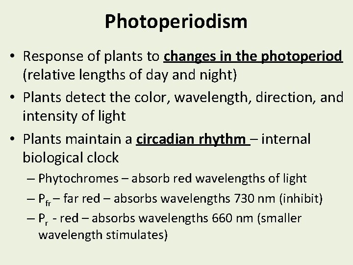 Photoperiodism • Response of plants to changes in the photoperiod (relative lengths of day