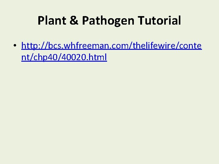 Plant & Pathogen Tutorial • http: //bcs. whfreeman. com/thelifewire/conte nt/chp 40/40020. html 