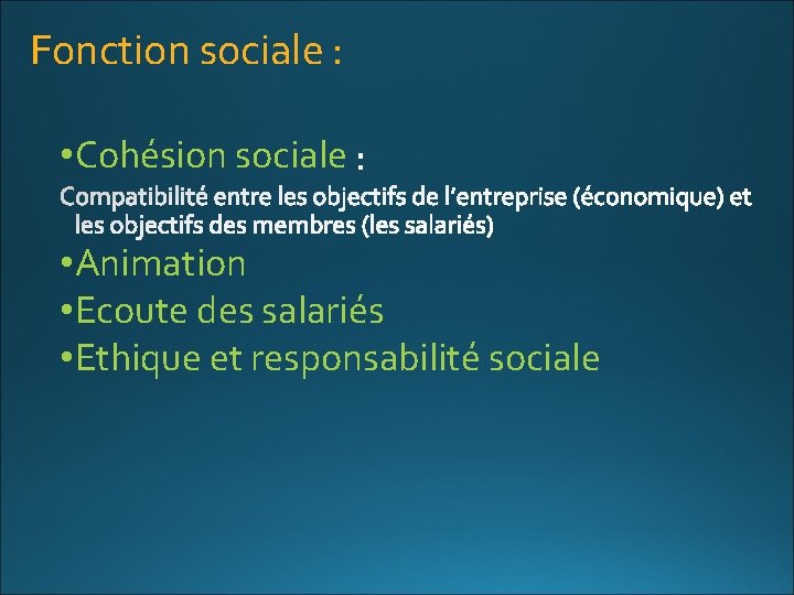 Fonction sociale : • Cohésion sociale • Animation • Ecoute des salariés • Ethique