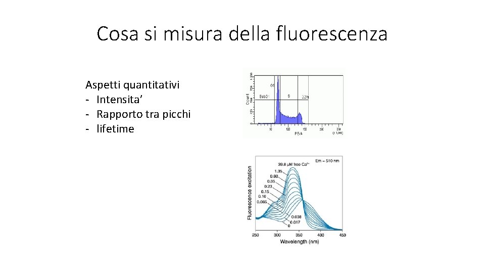 Cosa si misura della fluorescenza Aspetti quantitativi - Intensita’ - Rapporto tra picchi -