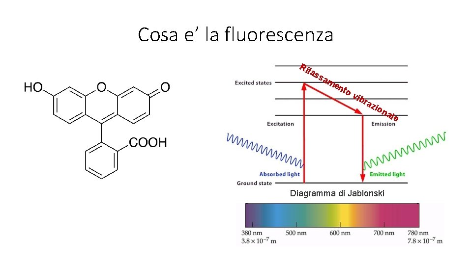 Cosa e’ la fluorescenza Ril as sa m en to vib raz ion Diagramma