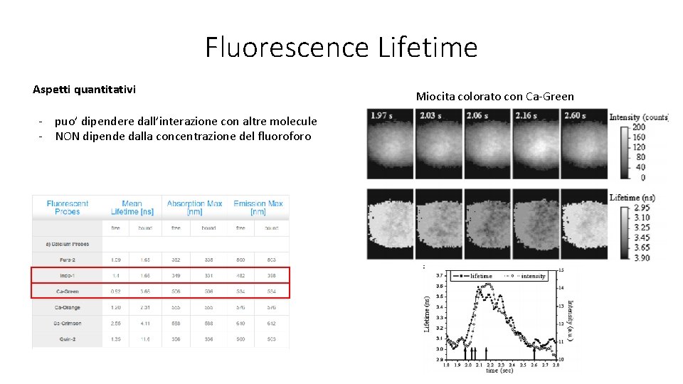 Fluorescence Lifetime Aspetti quantitativi - puo’ dipendere dall’interazione con altre molecule - NON dipende
