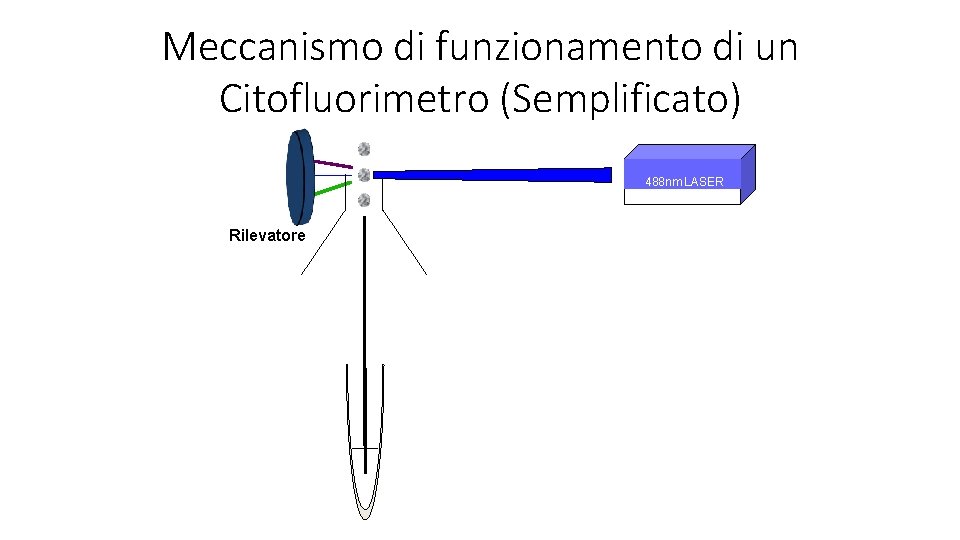 Meccanismo di funzionamento di un Citofluorimetro (Semplificato) 488 nm LASER Rilevatore 