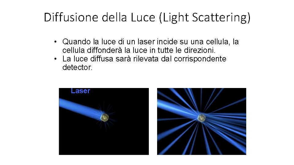 Diffusione della Luce (Light Scattering) • Quando la luce di un laser incide su