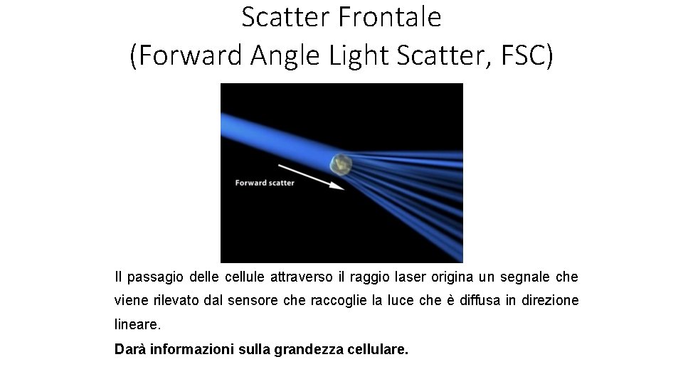 Scatter Frontale (Forward Angle Light Scatter, FSC) Il passagio delle cellule attraverso il raggio