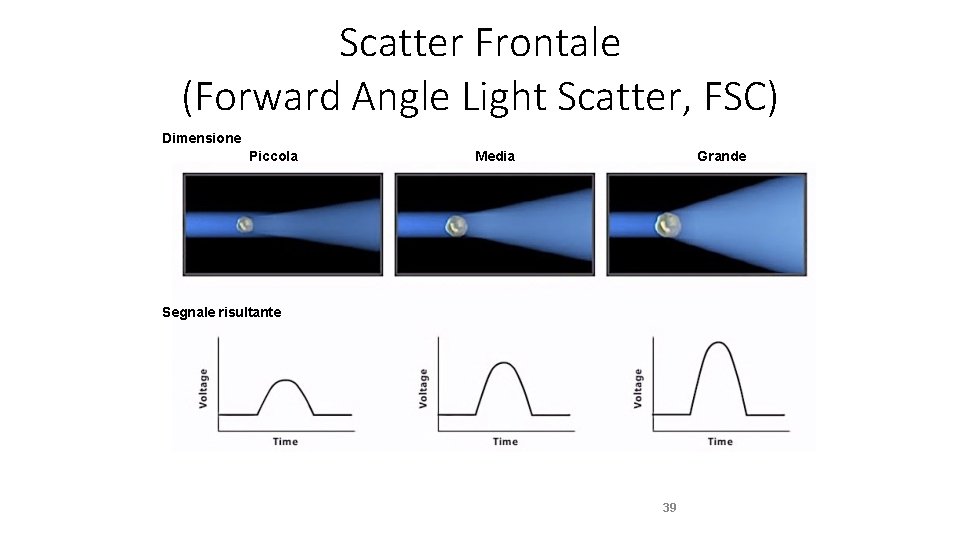 Scatter Frontale (Forward Angle Light Scatter, FSC) Dimensione Piccola Media Grande Segnale risultante 39