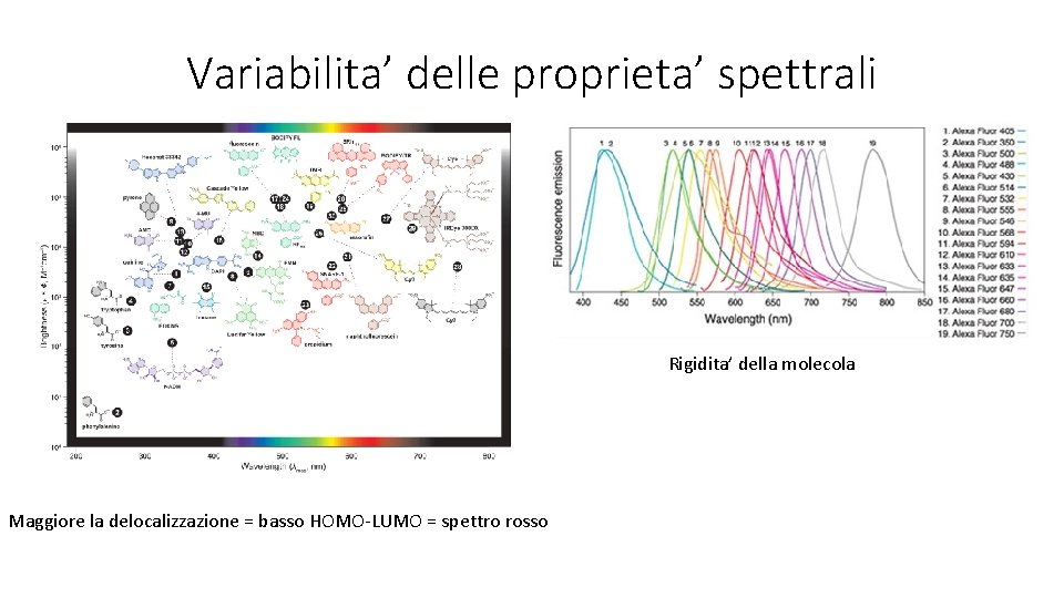 Variabilita’ delle proprieta’ spettrali Rigidita’ della molecola Maggiore la delocalizzazione = basso HOMO-LUMO =