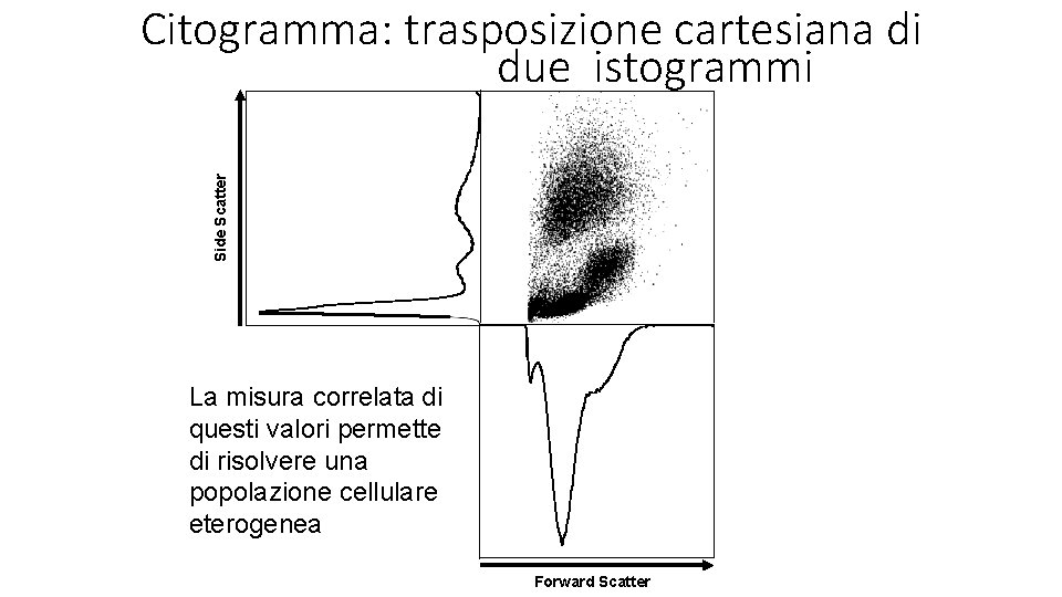 Side Scatter Citogramma: trasposizione cartesiana di due istogrammi La misura correlata di questi valori