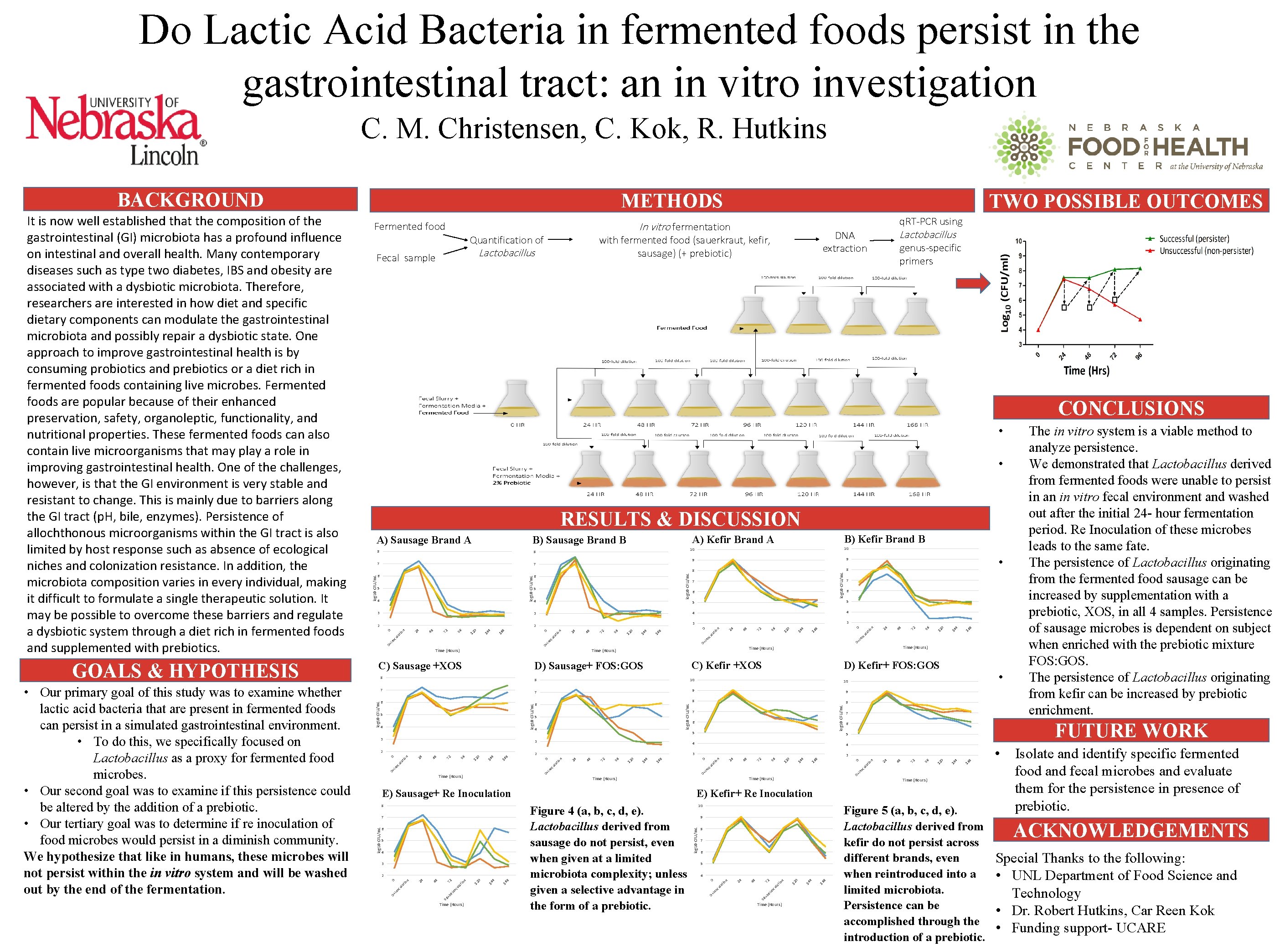 Do Lactic Acid Bacteria in fermented foods persist in the gastrointestinal tract: an in