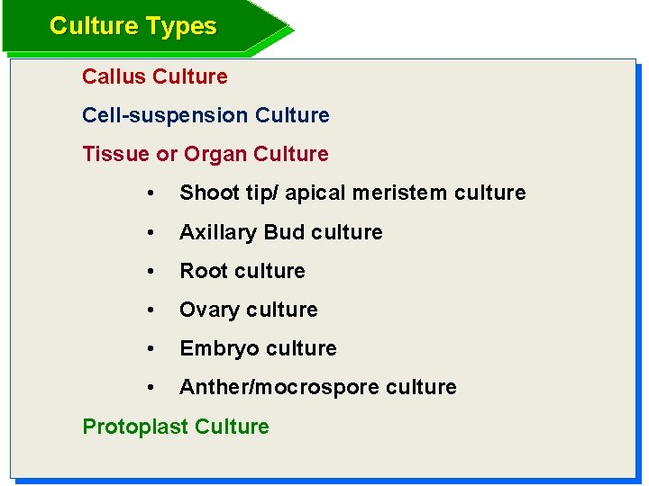 Culture Types Callus Culture Cell-suspension Culture Tissue or Organ Culture • Shoot tip/ apical