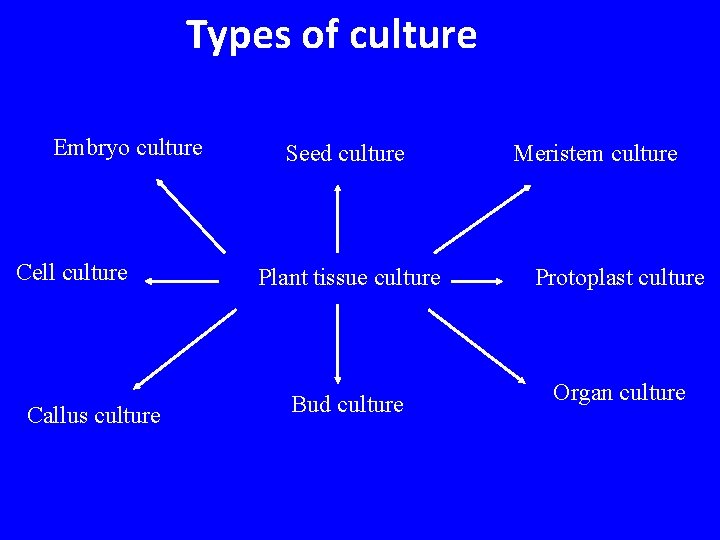 Types of culture Embryo culture Cell culture Callus culture Seed culture Meristem culture Plant