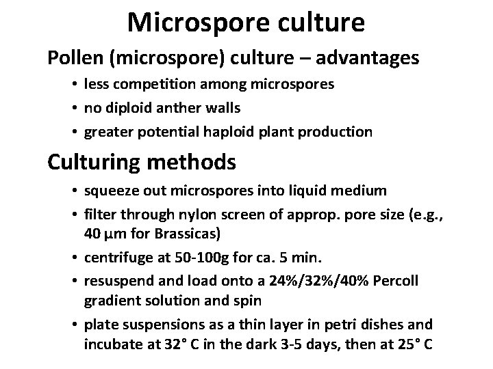 Microspore culture Pollen (microspore) culture – advantages • less competition among microspores • no