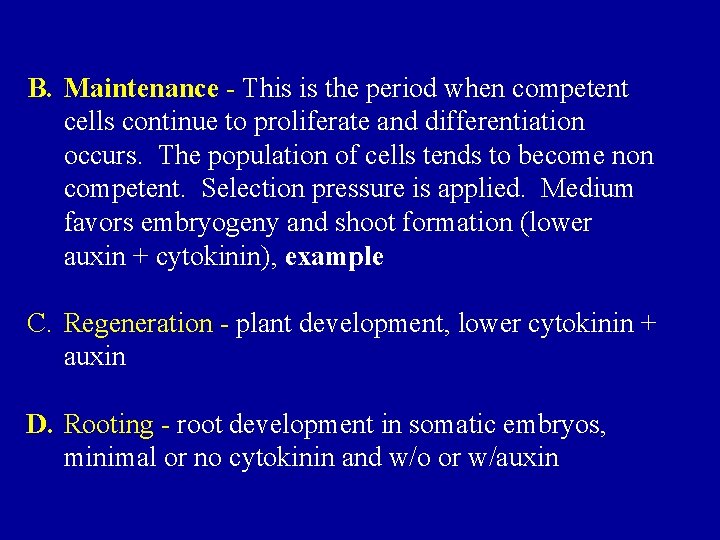 B. Maintenance - This is the period when competent cells continue to proliferate and