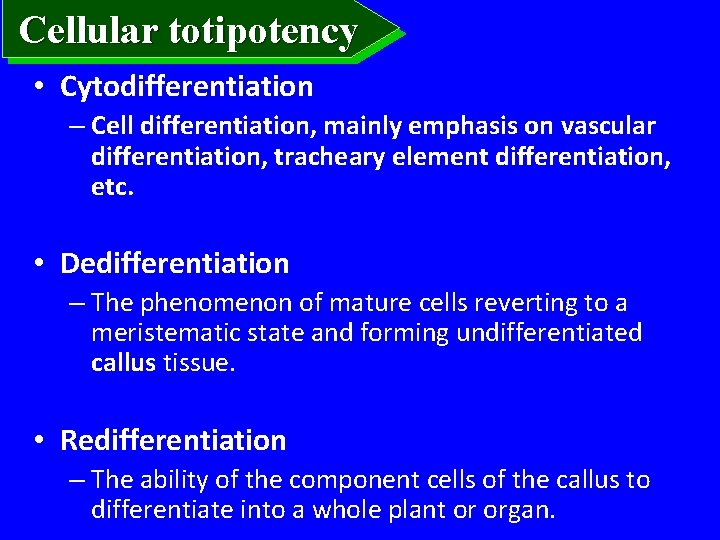 Cellular totipotency • Cytodifferentiation – Cell differentiation, mainly emphasis on vascular differentiation, tracheary element