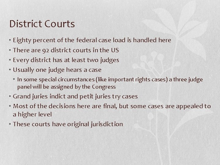 District Courts • Eighty percent of the federal case load is handled here •