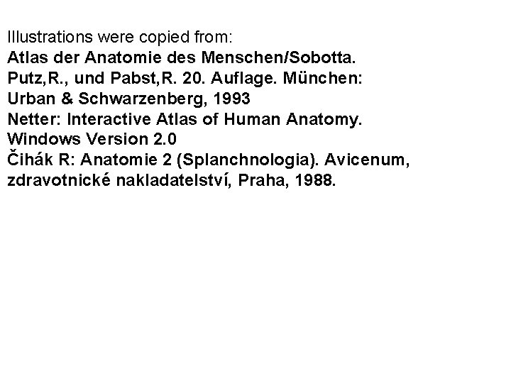 Illustrations were copied from: Atlas der Anatomie des Menschen/Sobotta. Putz, R. , und Pabst, Illustrations were copied from: Atlas der Anatomie des Menschen/Sobotta. Putz, R. , und Pabst,