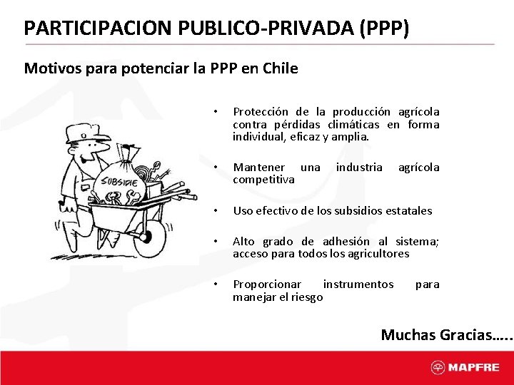 PARTICIPACION PUBLICO-PRIVADA (PPP) Motivos para potenciar la PPP en Chile • Protección de la