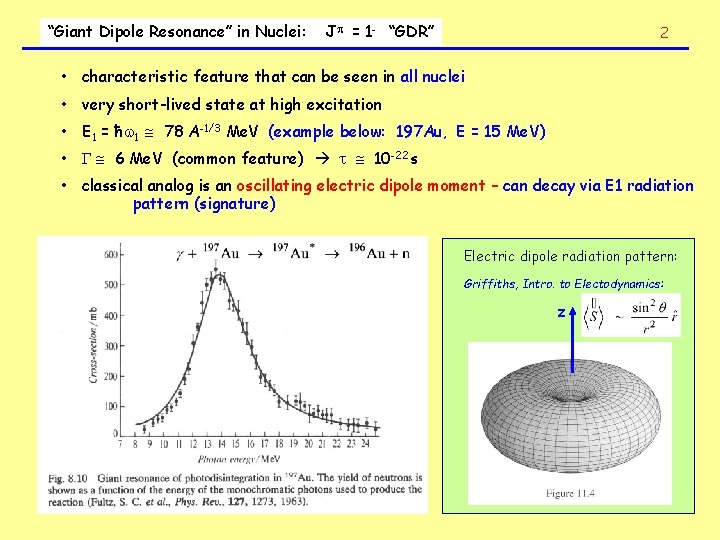 “Giant Dipole Resonance” in Nuclei: J = 1 - “GDR” 2 • characteristic feature