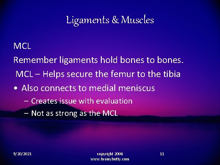 Ligaments & Muscles MCL Remember ligaments hold bones to bones. MCL – Helps secure