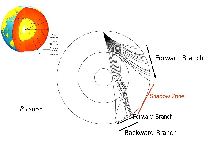 Forward Branch Shadow Zone P waves Forward Branch Backward Branch 