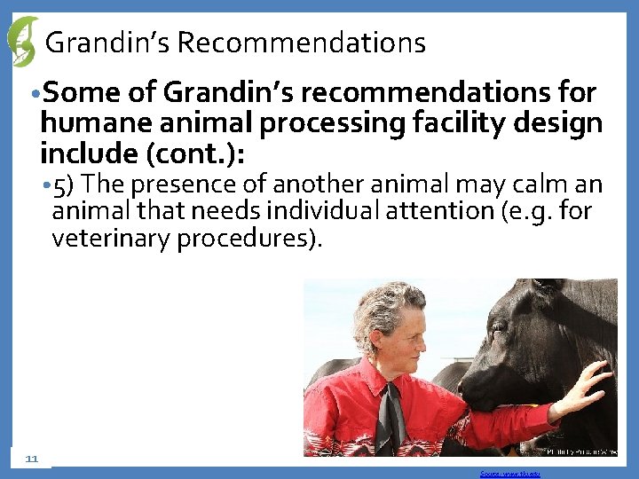 Grandin’s Recommendations • Some of Grandin’s recommendations for humane animal processing facility design include