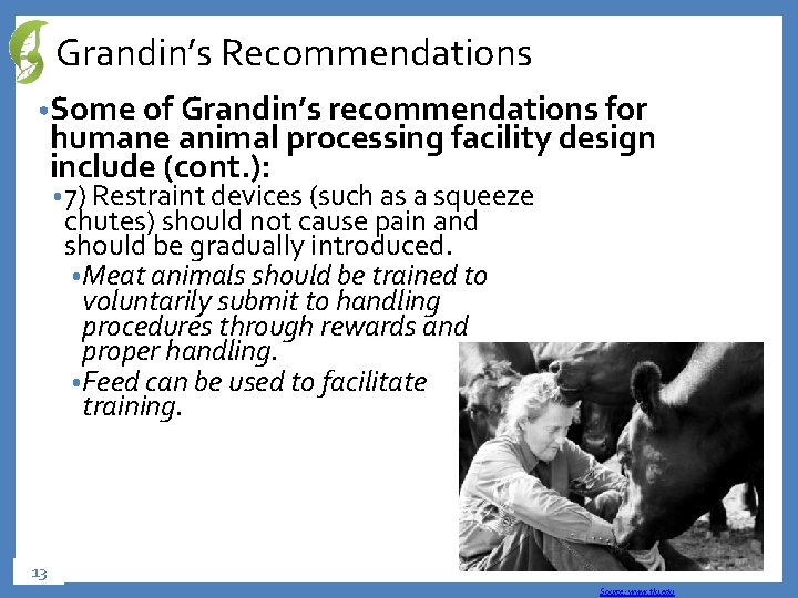 Grandin’s Recommendations • Some of Grandin’s recommendations for humane animal processing facility design include