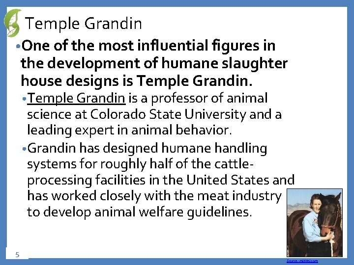 Temple Grandin • One of the most influential figures in the development of humane