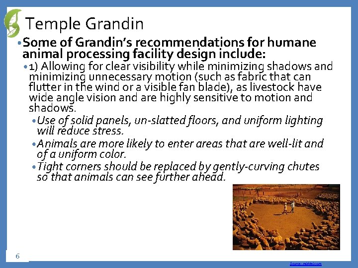 Temple Grandin • Some of Grandin’s recommendations for humane animal processing facility design include: