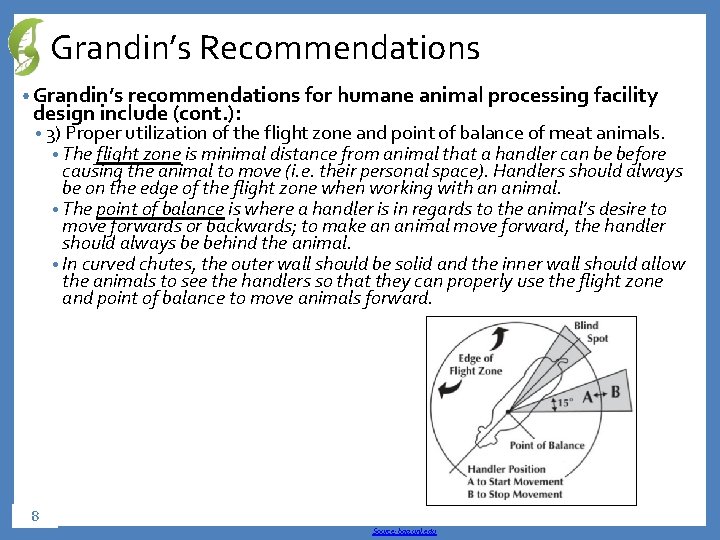 Grandin’s Recommendations • Grandin’s recommendations for humane animal processing facility design include (cont. ):