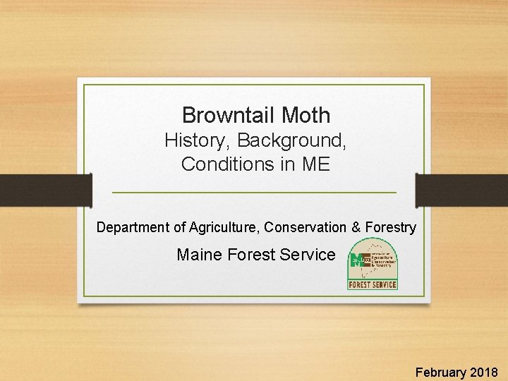 Browntail Moth History, Background, Conditions in ME Department of Agriculture, Conservation & Forestry Maine