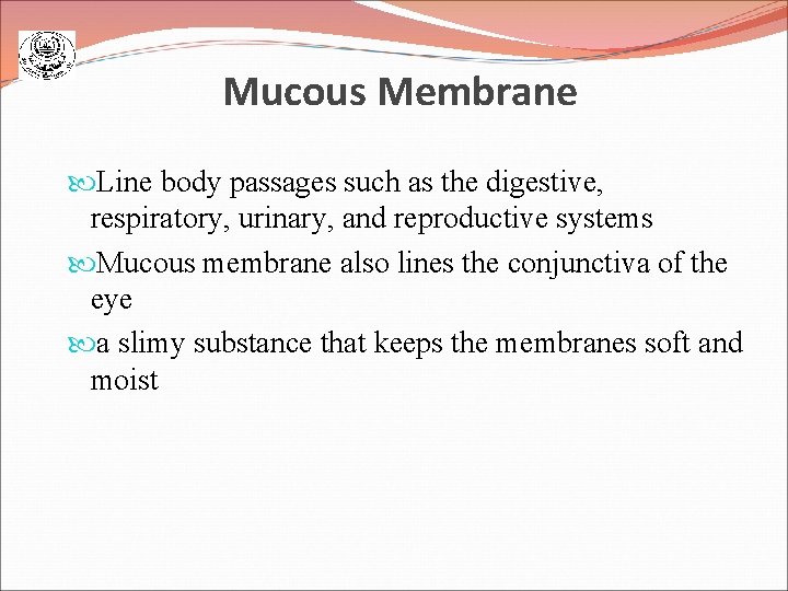 Mucous Membrane Line body passages such as the digestive, respiratory, urinary, and reproductive systems