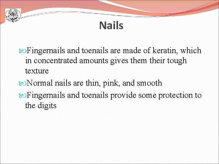 Nails Fingernails and toenails are made of keratin, which in concentrated amounts gives them