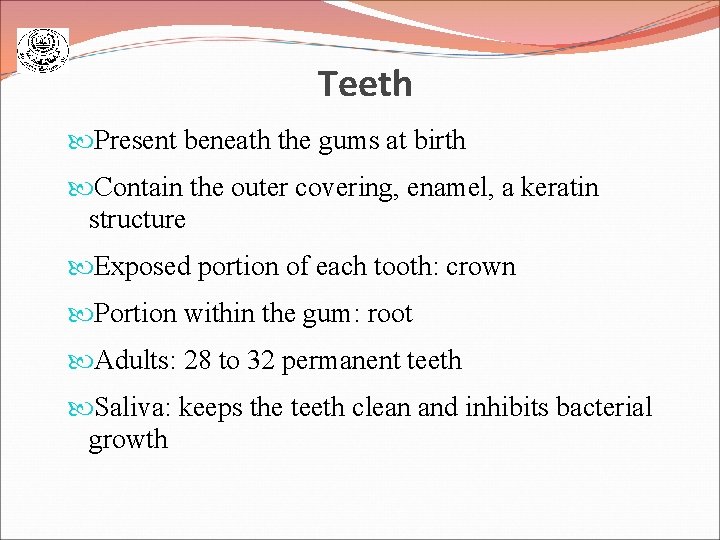 Teeth Present beneath the gums at birth Contain the outer covering, enamel, a keratin