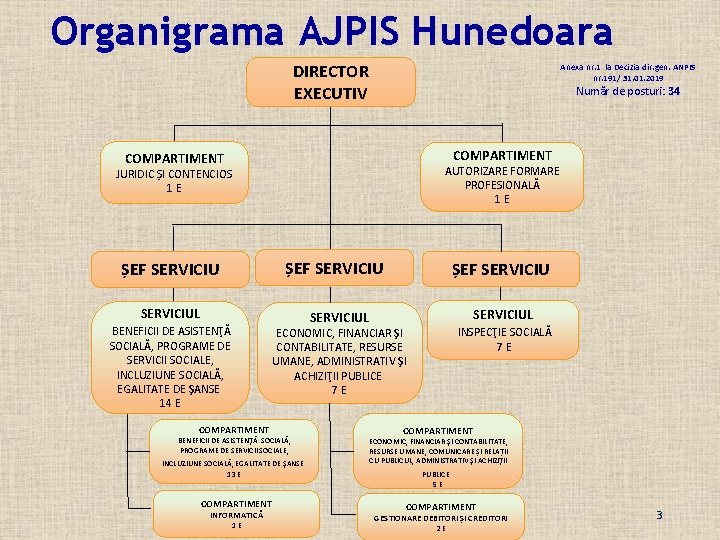 Organigrama AJPIS Hunedoara DIRECTOR EXECUTIV Anexa nr. 1 la Decizia dir. gen. ANPIS nr.