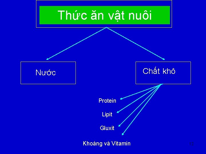 Thức ăn vật nuôi Chất khô Nước Protein Lipit Gluxit Khoáng và Vitamin 12