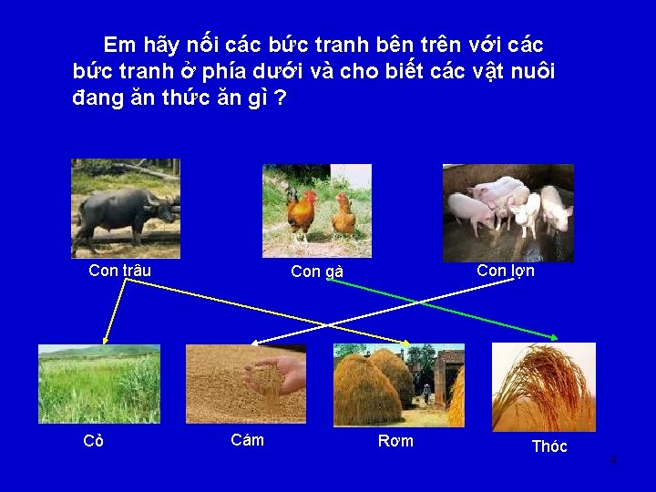 Em hãy nối các bức tranh bên trên với các bức tranh ở phía