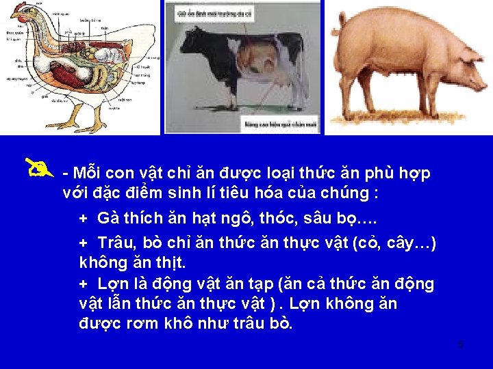  - Mỗi con vật chỉ ăn được loại thức ăn phù hợp với