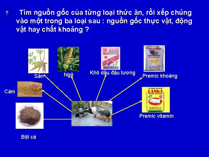 ? Tìm nguồn gốc của từng loại thức ăn, rồi xếp chúng vào một