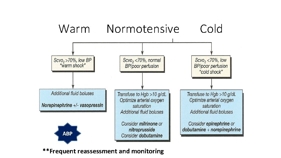 Warm Normotensive ABP **Frequent reassessment and monitoring Cold 