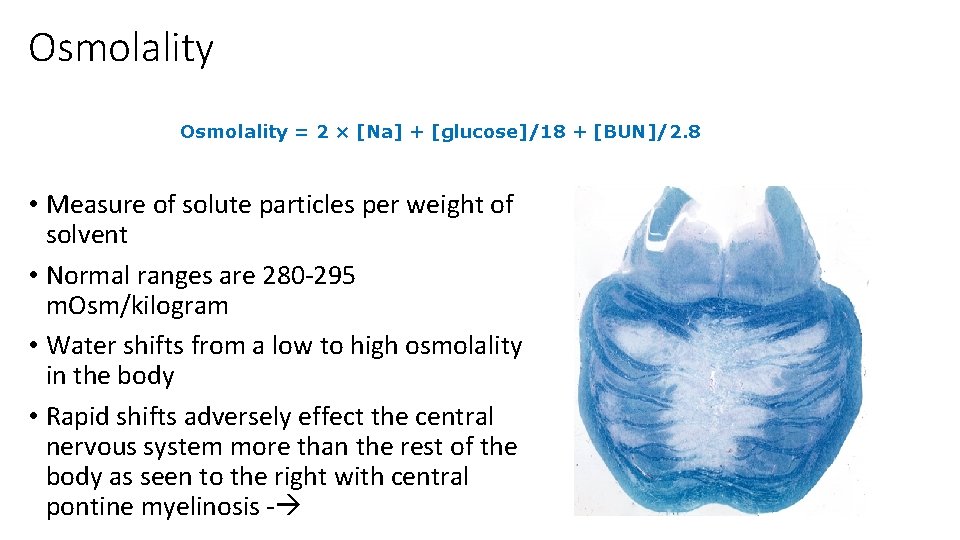 Osmolality = 2 × [Na] + [glucose]/18 + [BUN]/2. 8 • Measure of solute