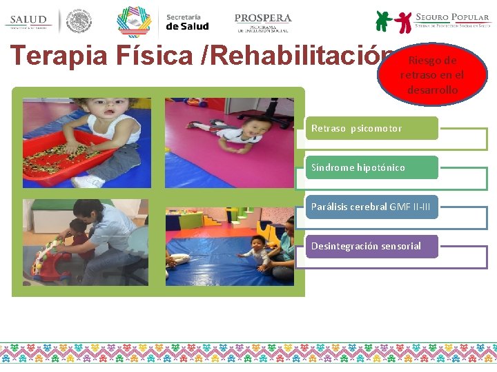 Terapia Física /Rehabilitación Riesgo de retraso en el desarrollo Retraso psicomotor Síndrome hipotónico Parálisis