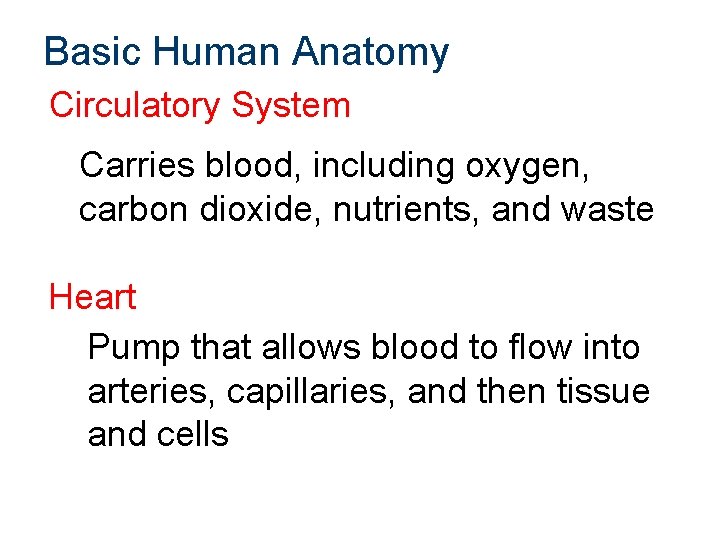 Basic Human Anatomy Circulatory System Carries blood, including oxygen, carbon dioxide, nutrients, and waste