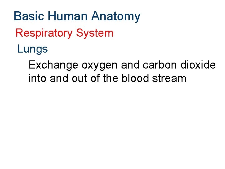 Basic Human Anatomy Respiratory System Lungs Exchange oxygen and carbon dioxide into and out