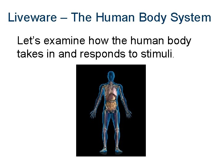 Liveware – The Human Body System Let’s examine how the human body takes in