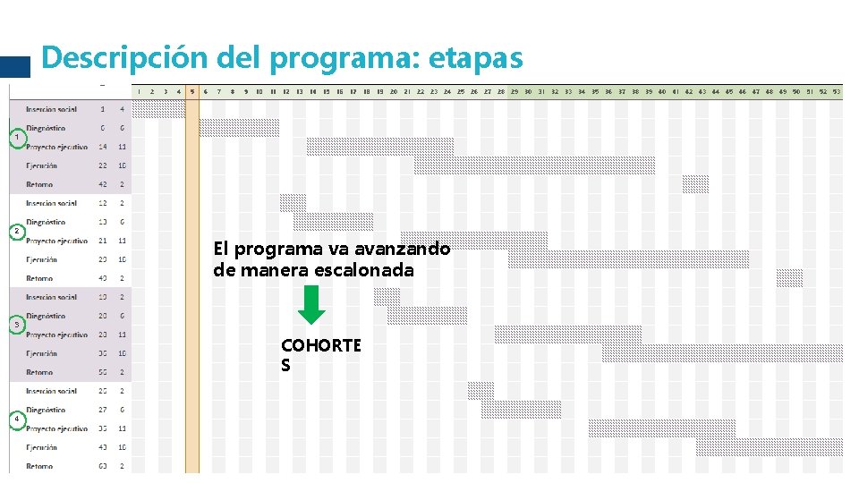 Descripción del programa: etapas El programa va avanzando de manera escalonada COHORTE S 34